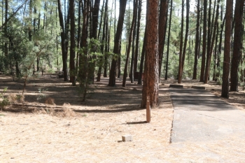 A guide to camping at Ponderosa Campground in Arizona.