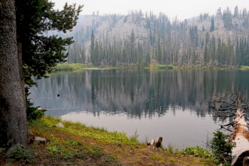 A guide to camping in Big Roaring River Lake Campground Idaho.