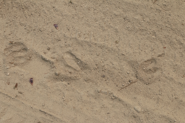 A guide to camping in Big Trinity Lake Campground Idaho