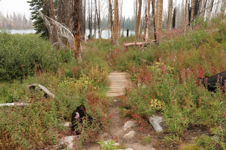 A guide to camping in Big Trinity Lake Campground Idaho