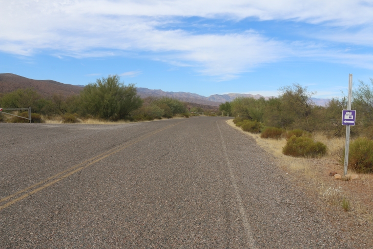 Camping at Cholla Campground - Arizona