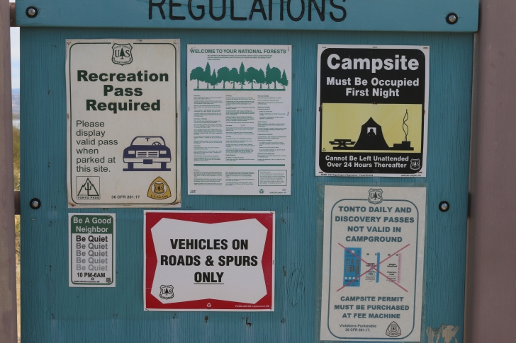 Camping at Cholla Campground - Arizona