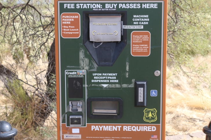 Camping at Cholla Campground - Arizona