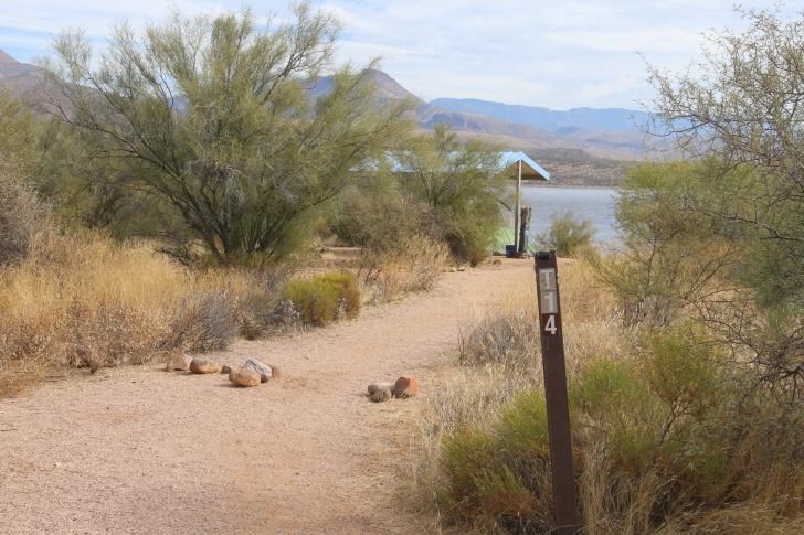 Camping at Cholla Campground - Arizona