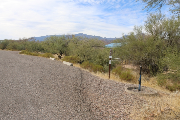 Camping at Cholla Campground - Arizona