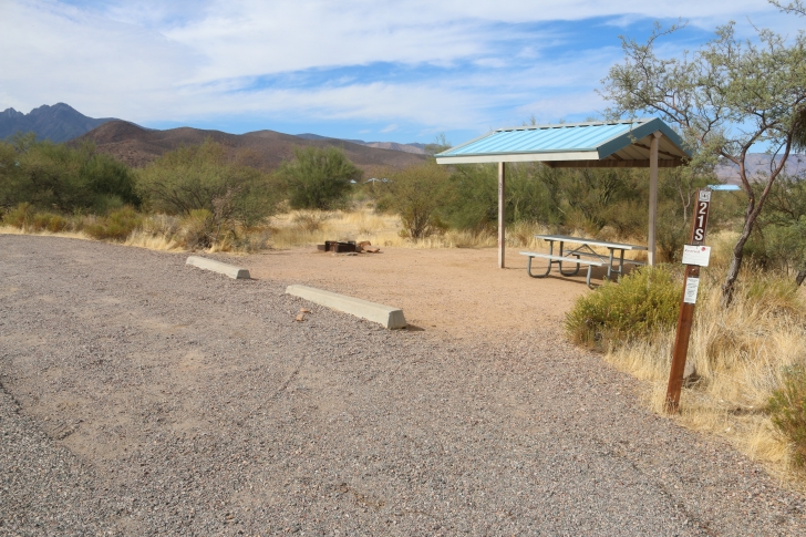Camping at Cholla Campground - Arizona