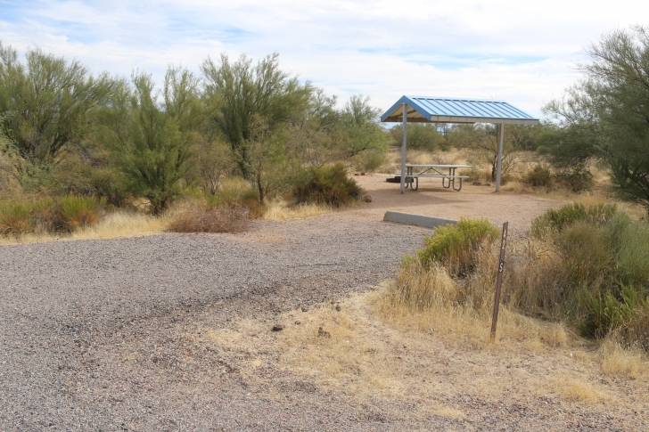 Camping at Cholla Campground - Arizona