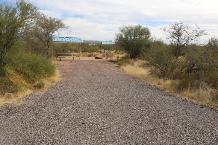 Camping at Cholla Campground - Arizona