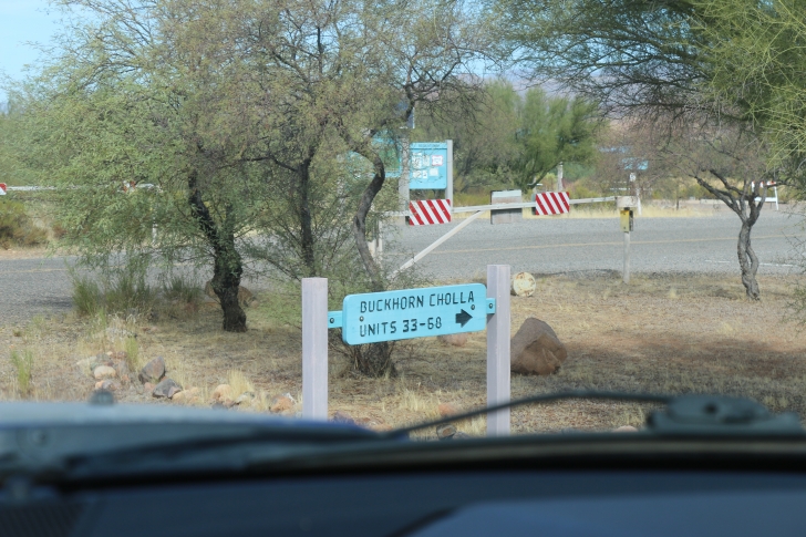 Camping at Cholla Campground - Arizona
