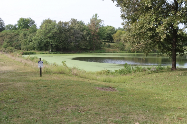 Camping at Eugene T Mahoney State Park in Nebraska