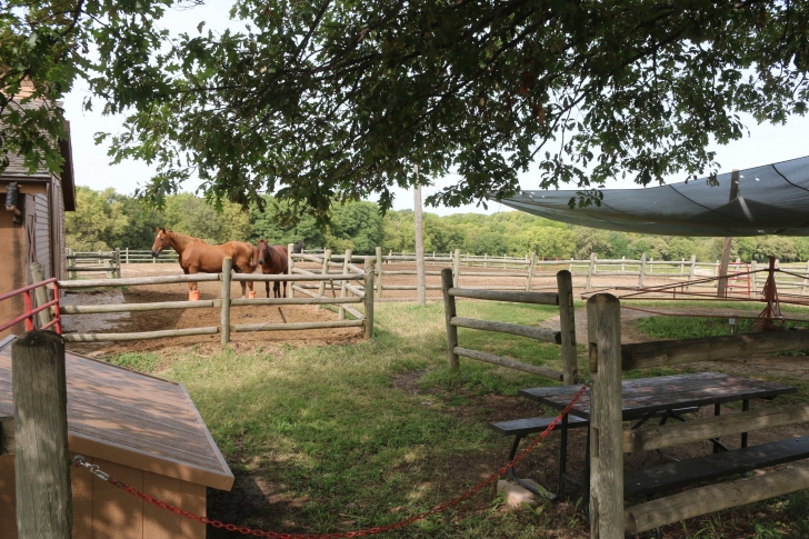 Camping at Eugene T Mahoney State Park in Nebraska