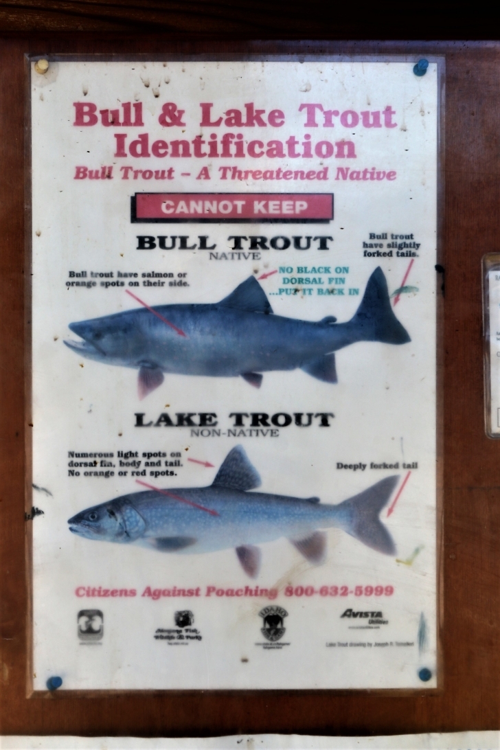 Farragut State Park, Idaho