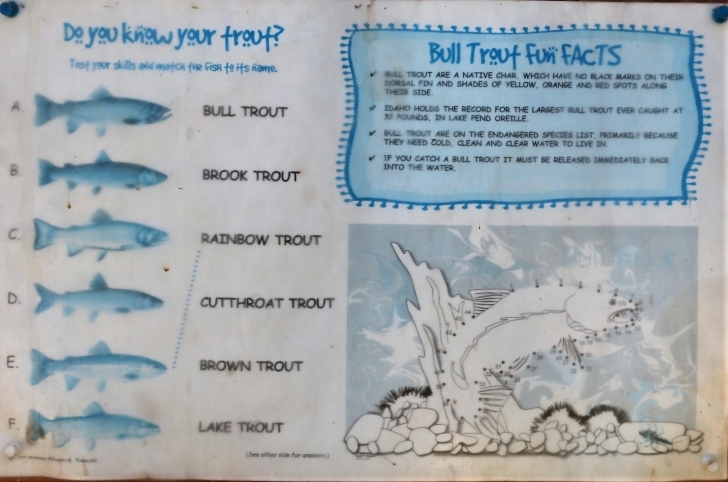 Farragut State Park, Idaho