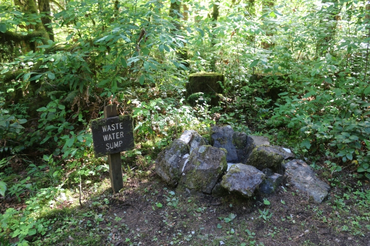 Trout Creek Campground on the South Santiam River