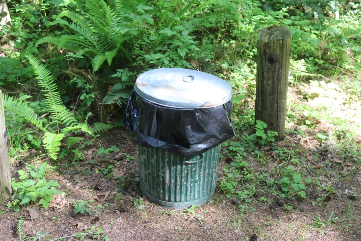 Trout Creek Campground on the South Santiam River