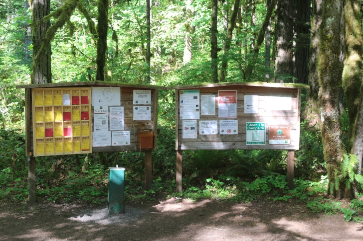 Trout Creek Campground on the South Santiam River