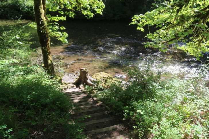 Trout Creek Campground on the South Santiam River