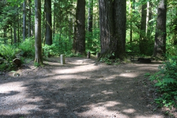 Trout Creek Campground on the South Santiam River