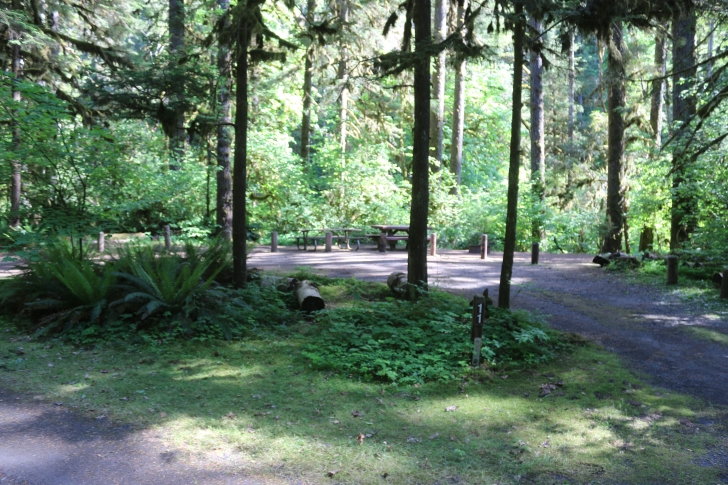 Trout Creek Campground on the South Santiam River