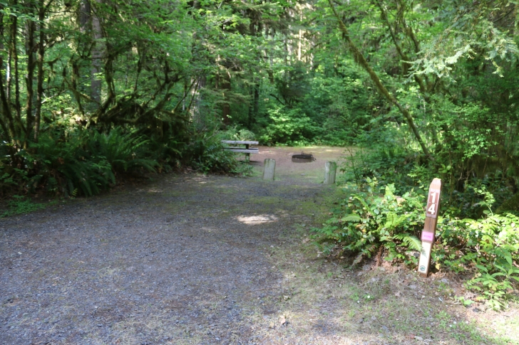 Trout Creek Campground on the South Santiam River