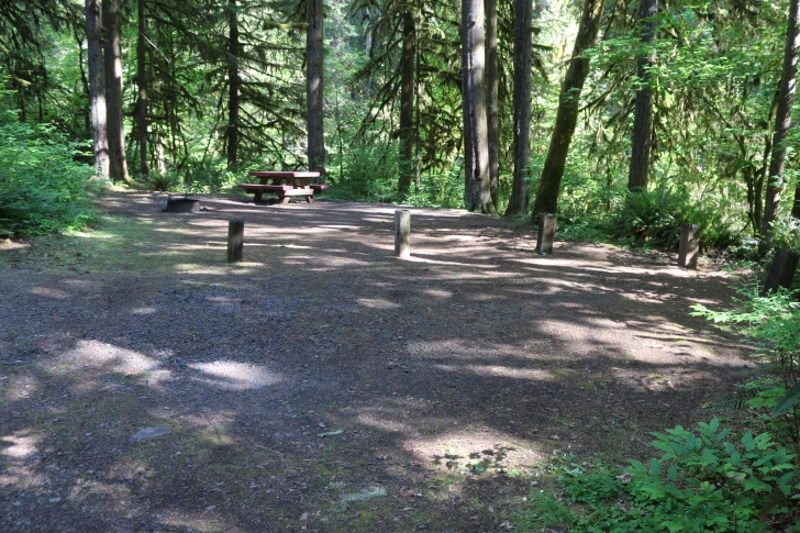 Trout Creek Campground on the South Santiam River