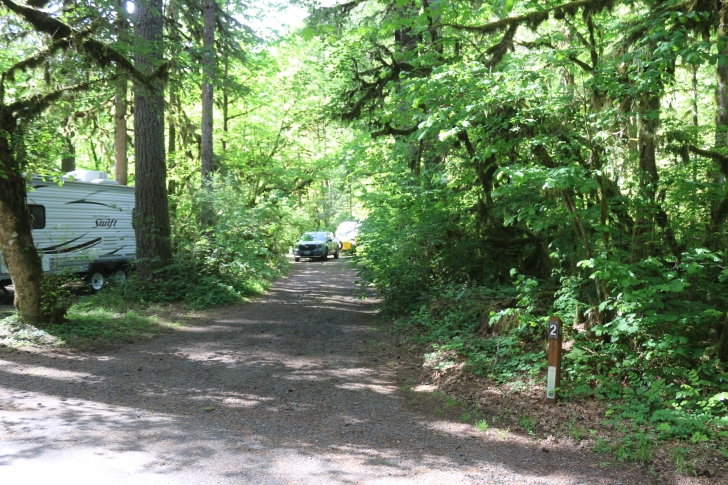 Trout Creek Campground on the South Santiam River