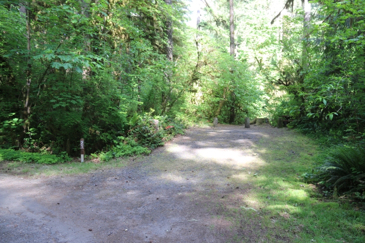 Trout Creek Campground on the South Santiam River