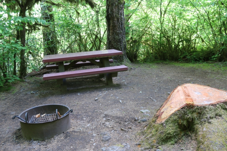 Trout Creek Campground on the South Santiam River