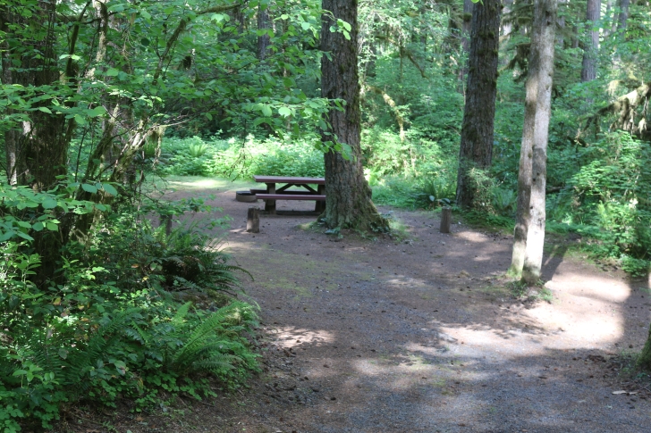 Trout Creek Campground on the South Santiam River