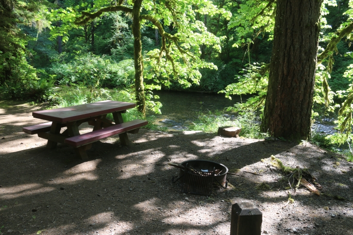 Trout Creek Campground on the South Santiam River