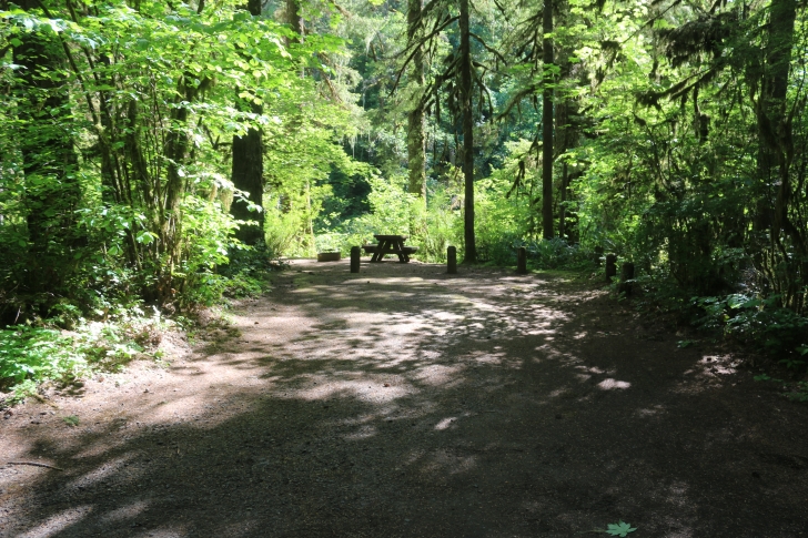 Trout Creek Campground on the South Santiam River