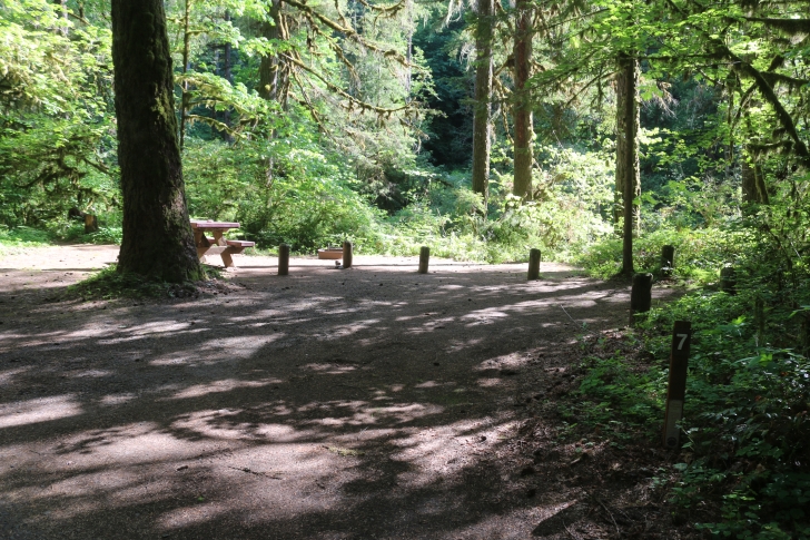 Trout Creek Campground on the South Santiam River