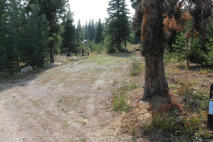 A Guide to Camping in Thompson Flat Campground Near Mount Harrison