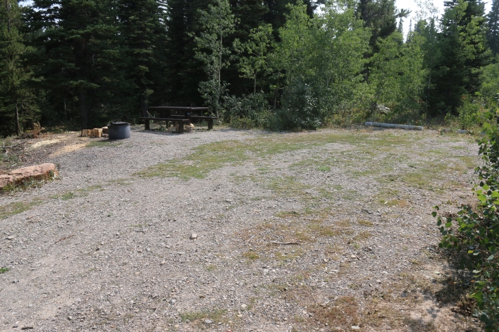 A Guide to Camping in Thompson Flat Campground Near Mount Harrison