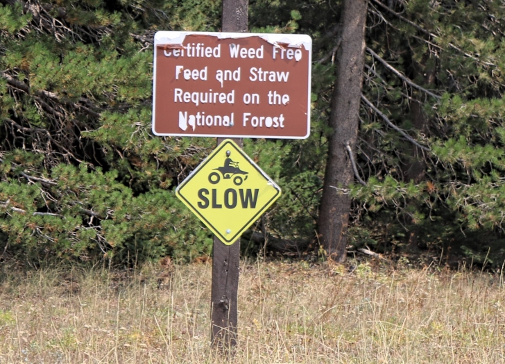 Camping at Twin Lakes Campground in South Central Idaho.