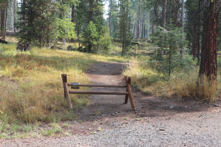 A guide to camping at Ponderosa State Park in Idaho