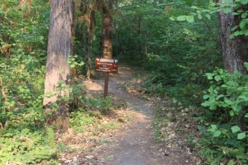 A guide to camping at Susan Creek Recreation Site on the beautiful North Umpqua River.