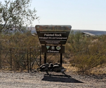 Camping at Painted Rock Campground and Petroglyph site.