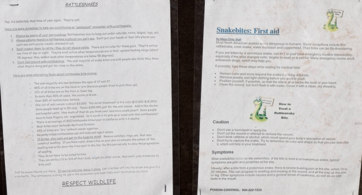 Camping at Painted Rock Campground and Petroglyph site.