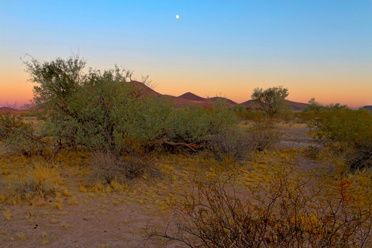 Camping at Painted Rock Campground and Petroglyph site.