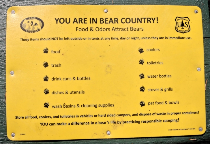 A guide to camping in Power Plant Campground near Atlanta Idaho.