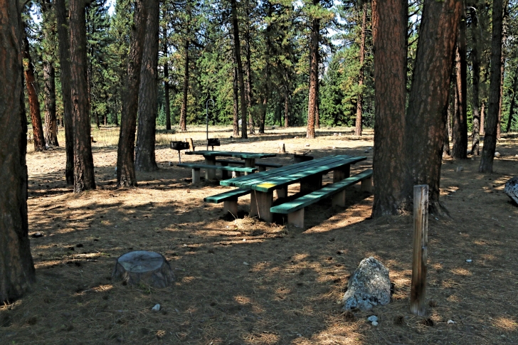 A guide to camping in Power Plant Campground near Atlanta Idaho.