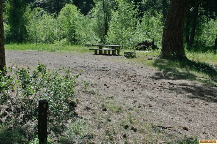 Campsite #6 in Abbot Campground