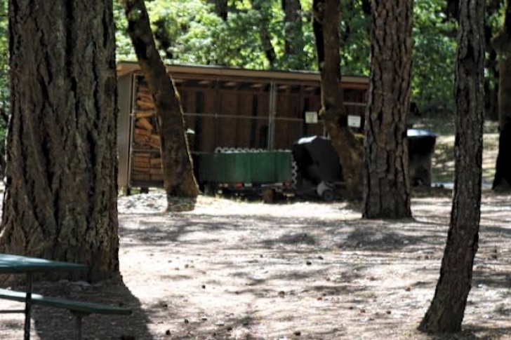 Almeda Park in Oregon - firewood