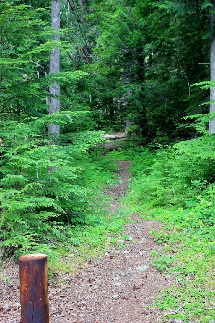 Camping in Washingtons Adams Fork Campground - hiking trail