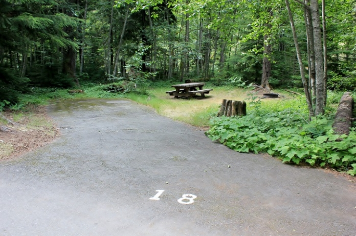 Camping in Washingtons Adams Fork Campground - campsite 18