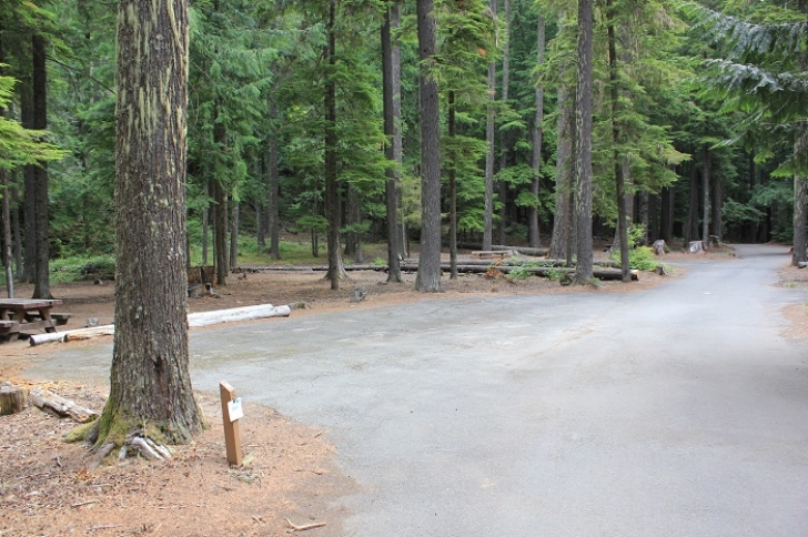 Camping in Washingtons Adams Fork Campground - Campsite 4