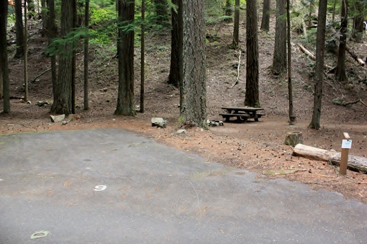 Camping in Washingtons Adams Fork Campground - campsite 9