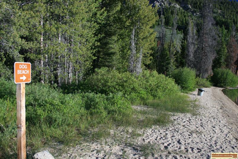 A picture of the "doggy" beach at Slturas Lake Inlet Campground.