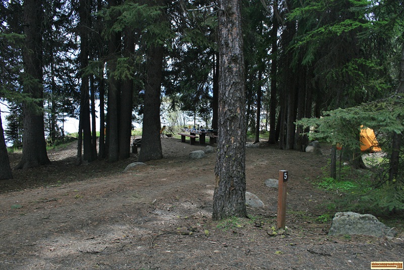 A picture of campsite 5 in Amanita Campground